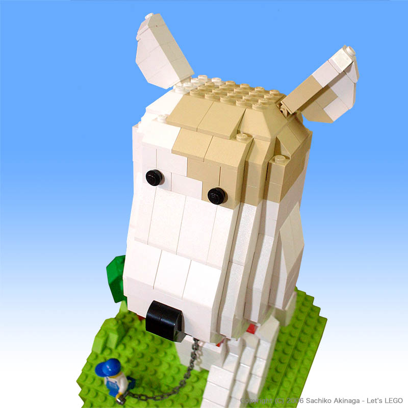 Lego, A Big Puppy