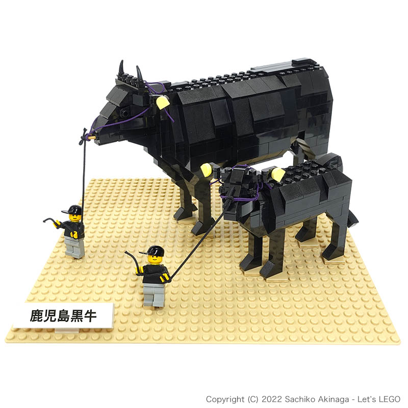 Kagoshima Black Cows (Black Beef)