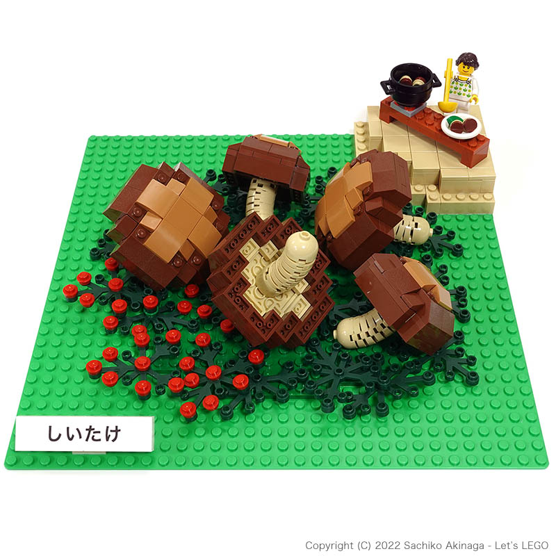 Kagoshima Shiitake Mushrooms lego