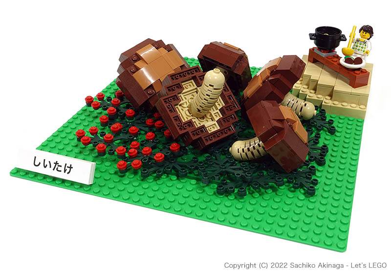 Kagoshima Shiitake Mushrooms lego