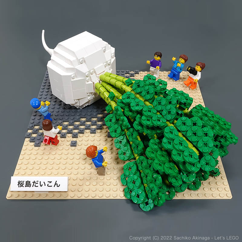 Kagoshima Sakurajima Daikon (Sakurajima Radish) lego