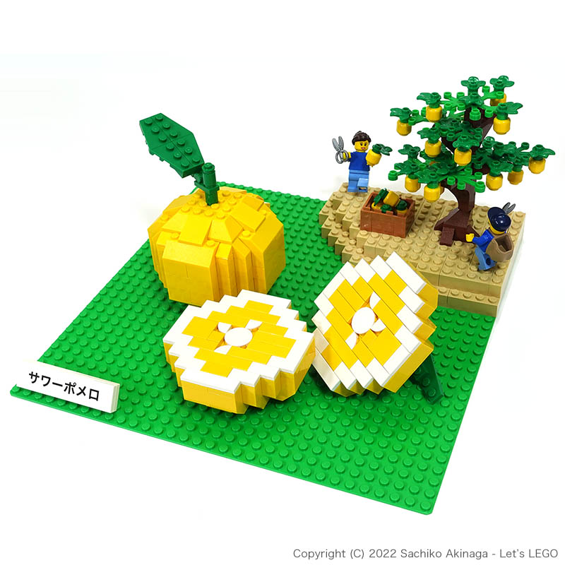 Kagoshima Sour Pomelo  lego