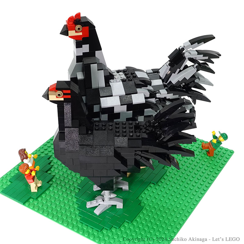 Kagoshima Kuro Satsumadori  lego