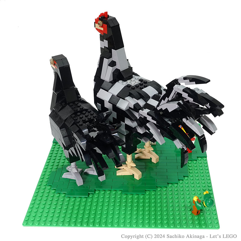 Kagoshima Kuro Satsumadori  lego