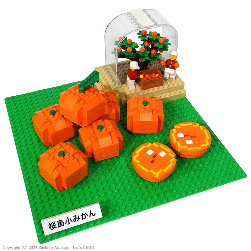 Kagoshima Sakurajima Komikan  lego