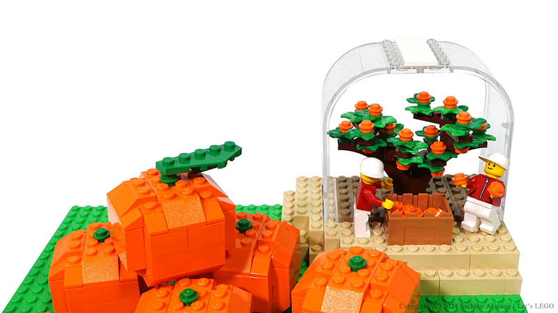 Kagoshima Sakurajima Komikan  lego