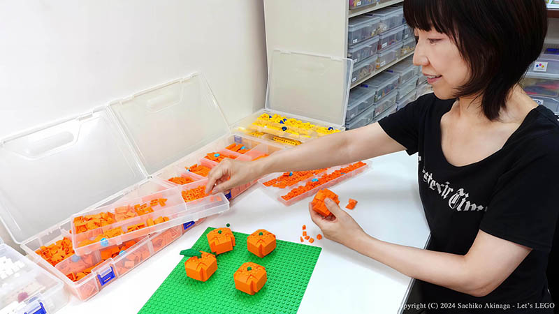 Kagoshima Sakurajima Komikan  lego