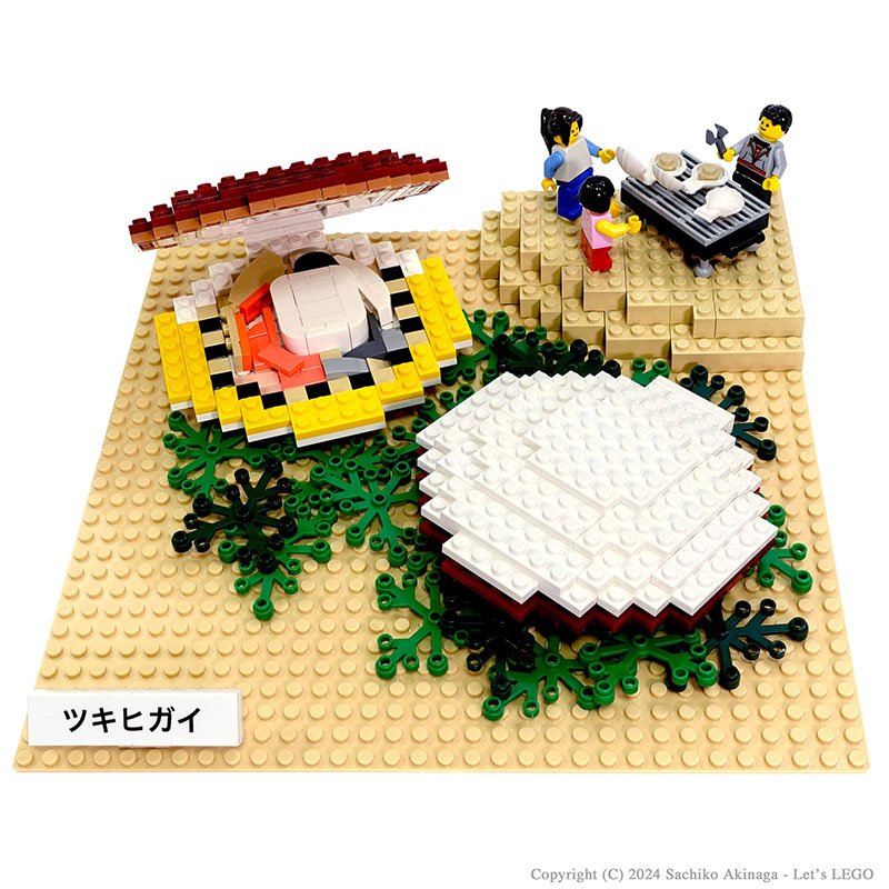 Kagoshima Tsukihigai (Japanese moon scallop)  lego
