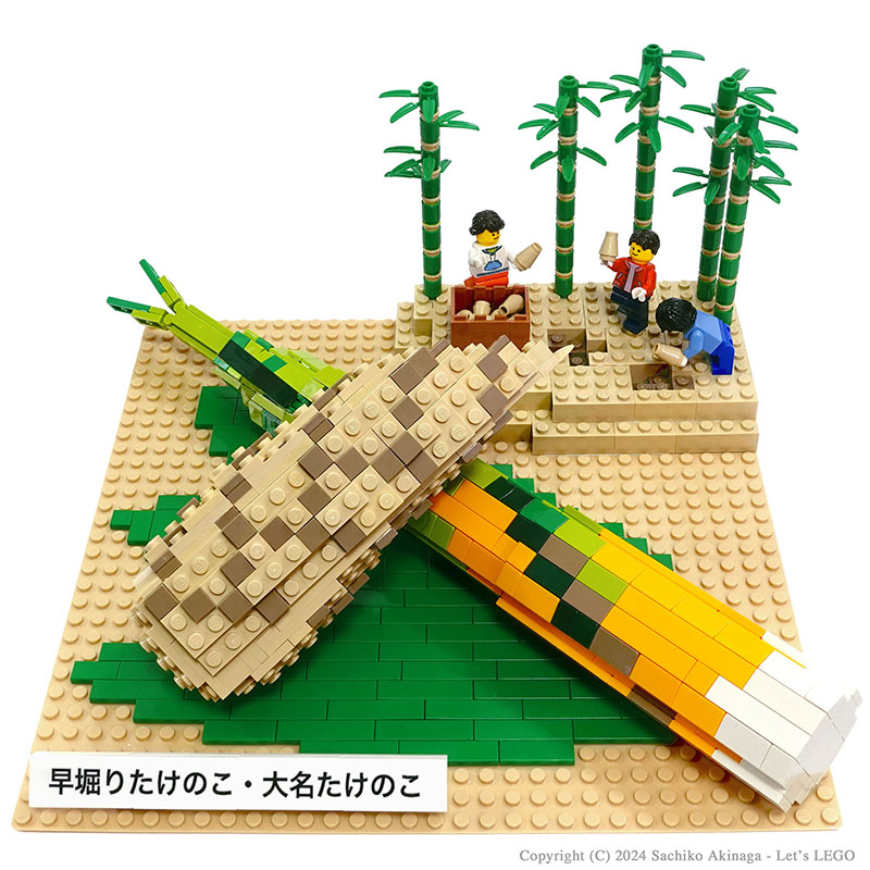 Kagoshima Bamboo Shoots  lego