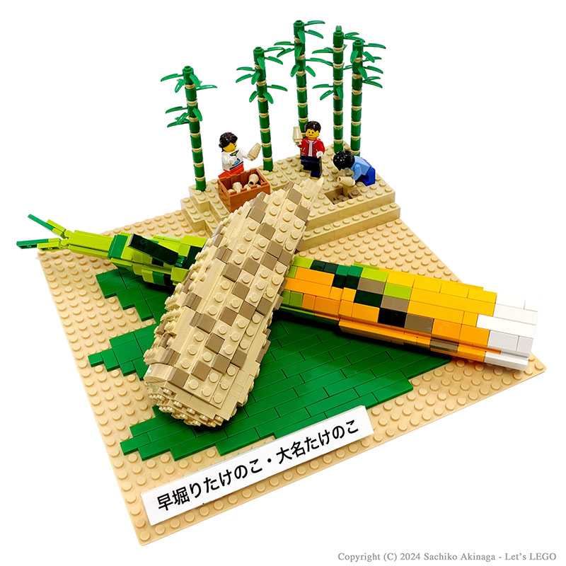 Kagoshima Bamboo Shoots  lego