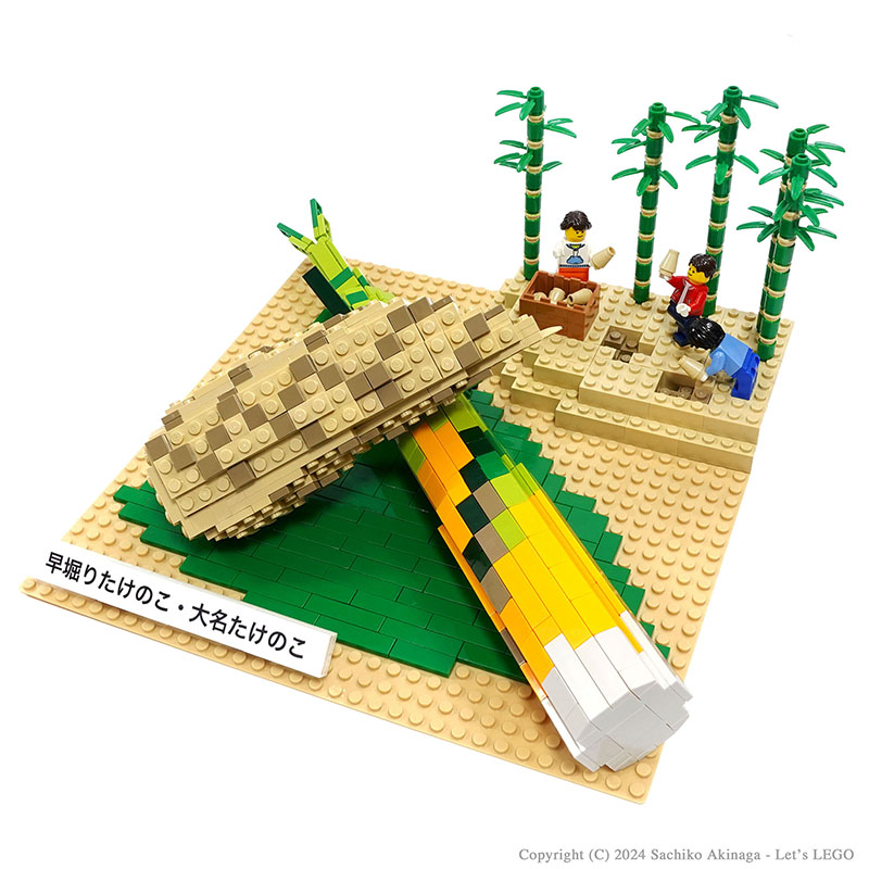 Kagoshima Bamboo Shoots  lego