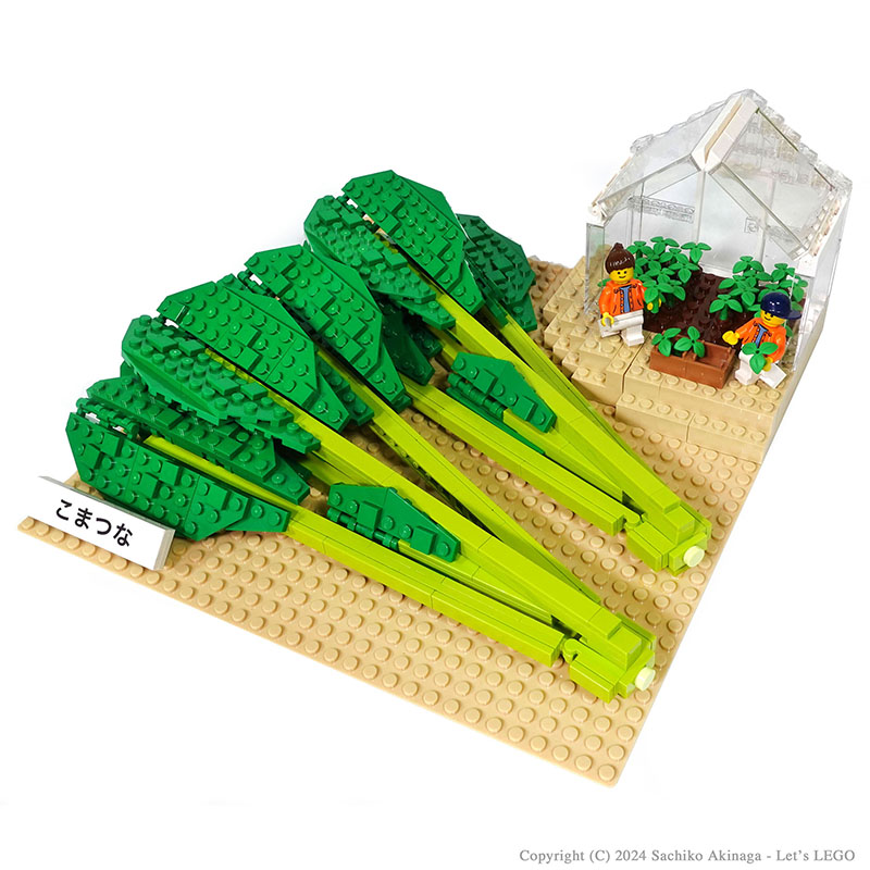 Kagoshima Komatsuna (Japanese mustard spinach)  lego