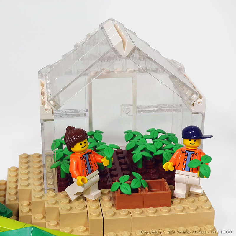 Kagoshima Komatsuna (Japanese mustard spinach)  lego