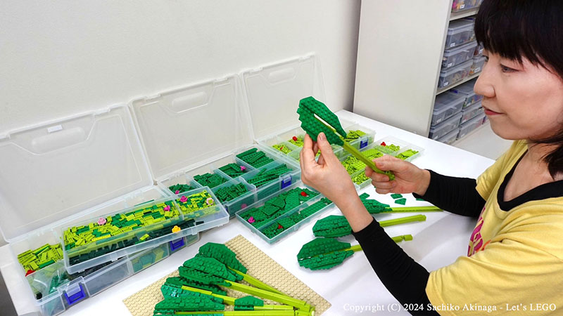 Kagoshima Komatsuna (Japanese mustard spinach)  lego