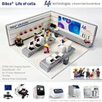 Lego model, Gibco Laboratory (cell culture laboratory) of Thermo Fisher Scientific