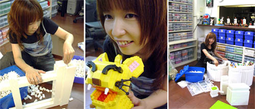 LEGO bricks artist : Sachiko Akinaga