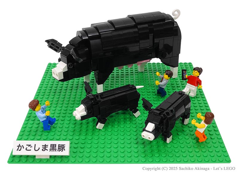 Kagoshima Kagoshima Black Pigs (Black Pork  lego