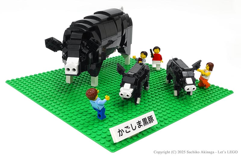 Kagoshima Kagoshima Black Pigs (Black Pork  lego