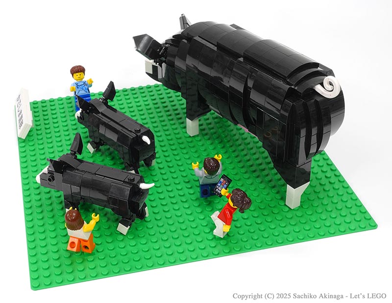 Kagoshima Kagoshima Black Pigs (Black Pork  lego