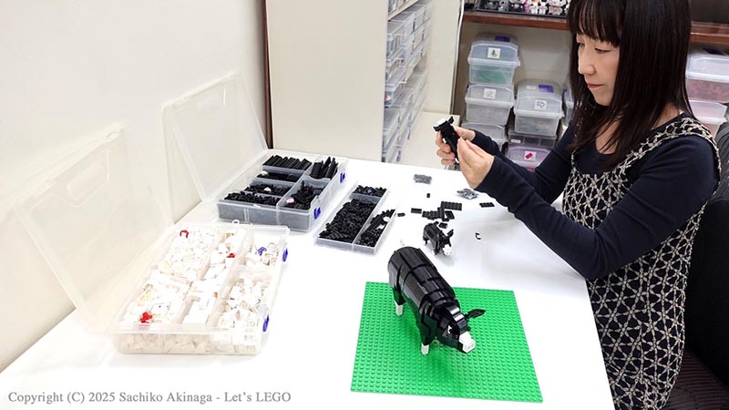 Kagoshima Kagoshima Black Pigs (Black Pork  lego